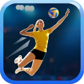Fine Volleyball