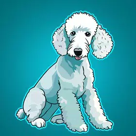 Bedlington Terrier Rescue