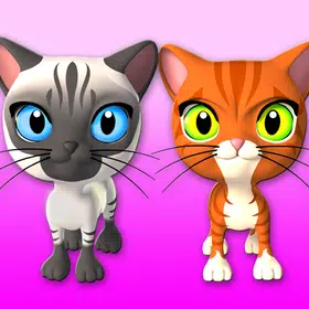 Nói 3 Bạn bè Cats & Bunny