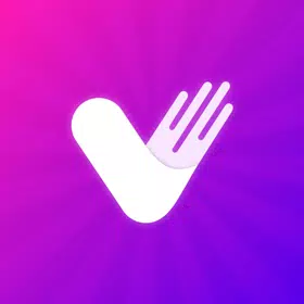 VidZoo