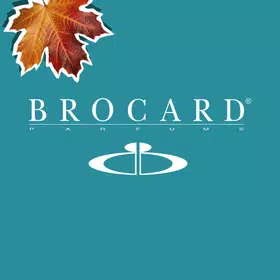 Brocard: акції та знижки