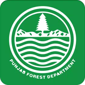 Forest Inspection Regime