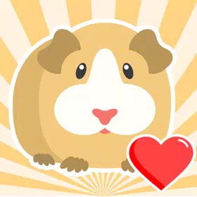 Guinea Pig: Care
