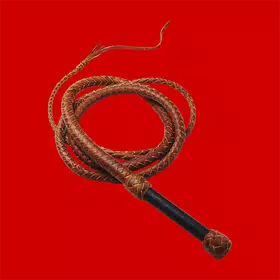Horse whip sound