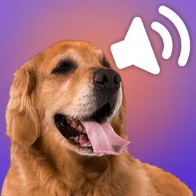 Sounds of dogs