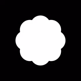 ChatCam