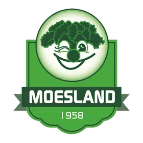 Moesland