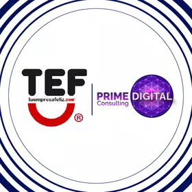 TEF VR