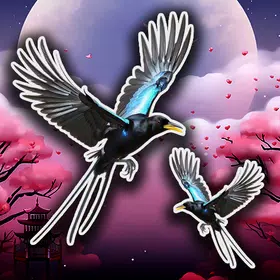 Magpie Tap Journey