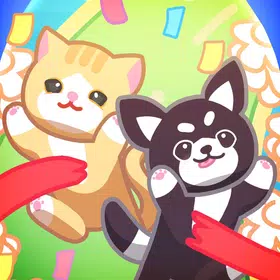 Catdogrun: a walk with a pet