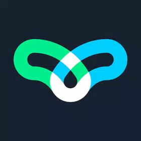 Linkfly