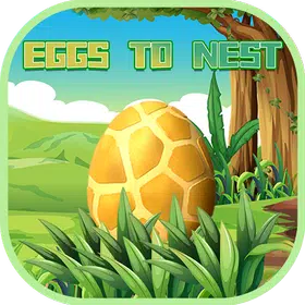 Eggs To Nest