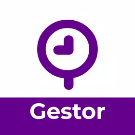 TiqueTaque Gestor