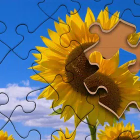 Jigsaw Puzzle Master