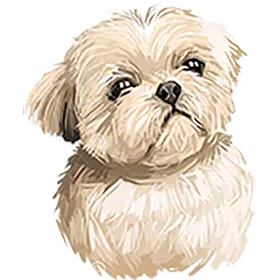 Fluffy Good Boi