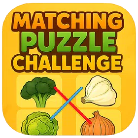 Matching Puzzle Challenge
