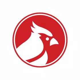 NControl V2