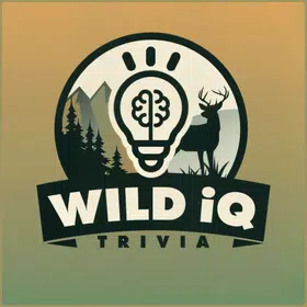 WildIQ – Wild Trivia Challenge