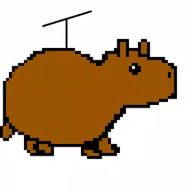 HeliBara