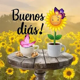 Frases de motivación