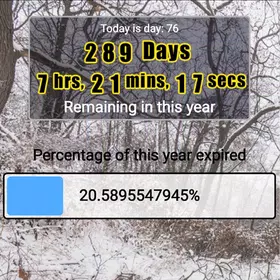 Year Expired w/Widget