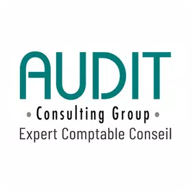 Audit Consulting Group