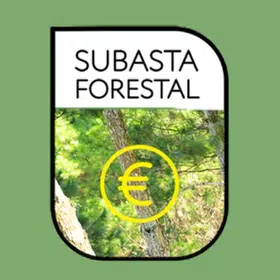 Subasta Forestal