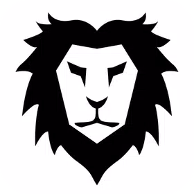 Video downloader