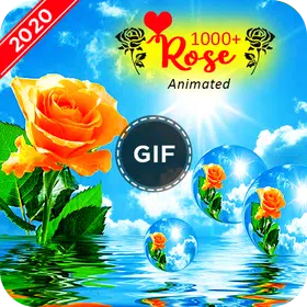 Rose GIF
