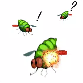 Whack A Fly