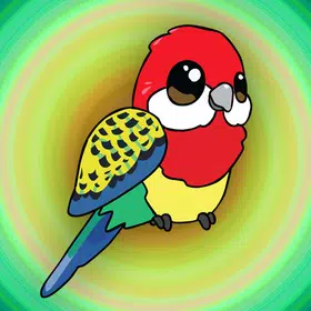 Eastern Rosella Rescue