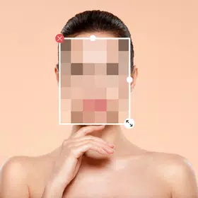 Blur or Pixelate Video Editor