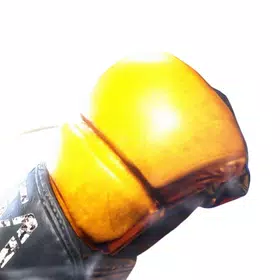 Fighter 6 Moves