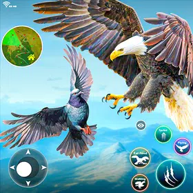 Mô phỏng đại bàng thực sự
